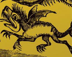 newsletter-7-13ene_09